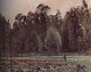 Camille Pissarro, Schwarz Metaponto to the cabbage